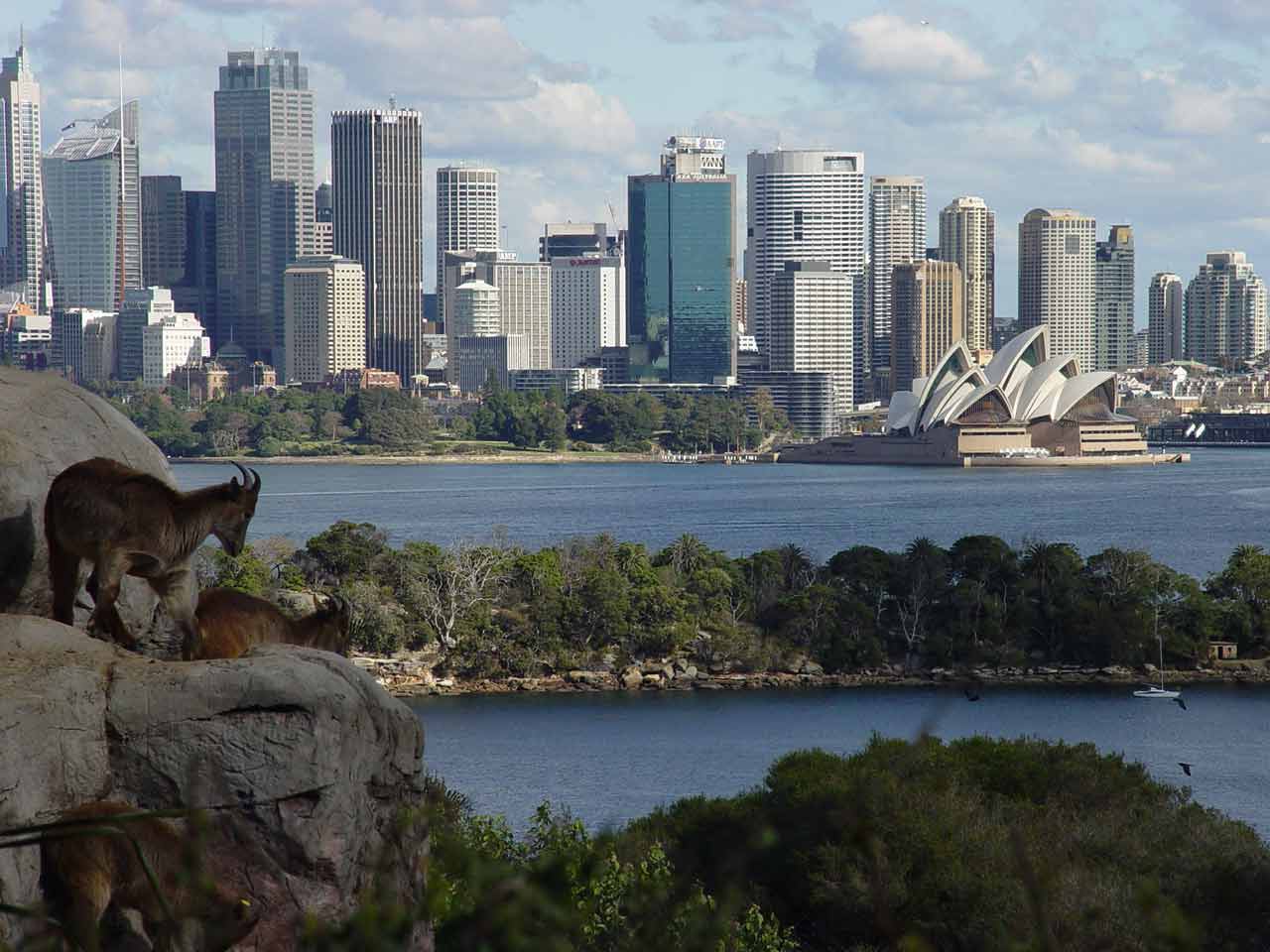 sweet view, at the zoo