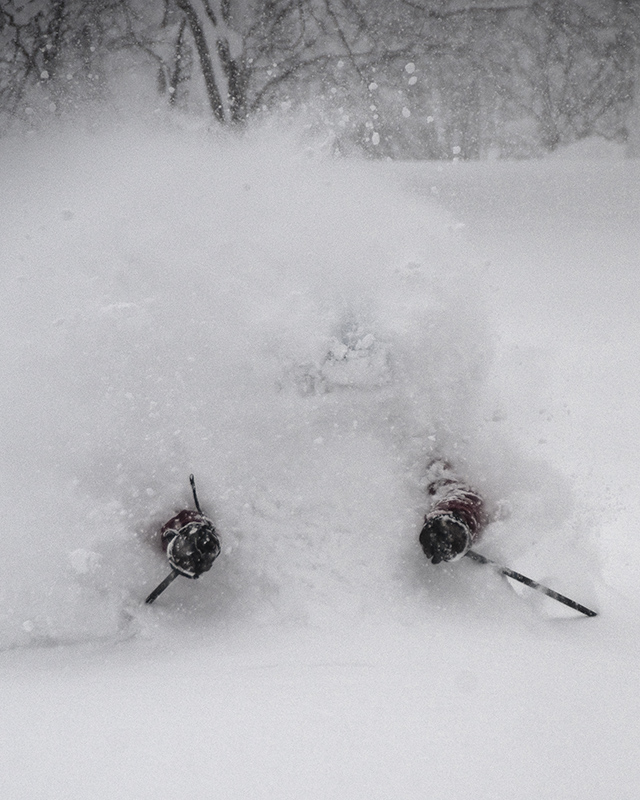 Sweetgrass Productions in Niseko