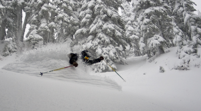 Swift Creek At Baker