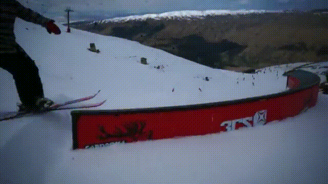 Switch 50 backflip.Gif