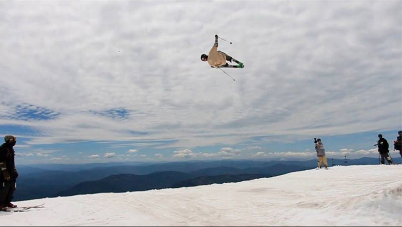 Switch Bio 9 // Evan Gurek 