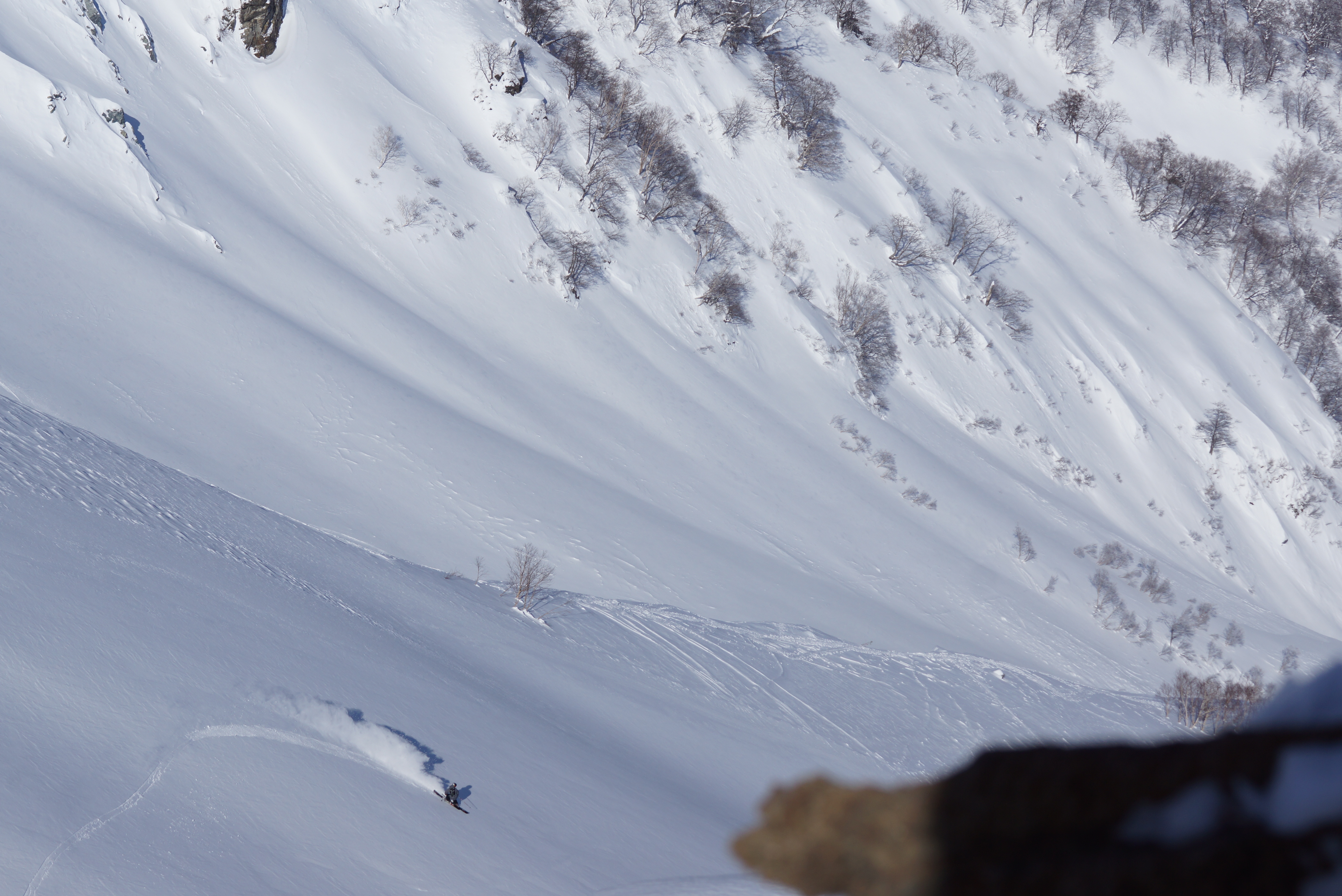 Switch carve in Hakuba