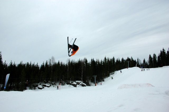 Switch cork 7 truenose!!