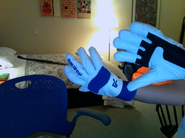Switch Gloves