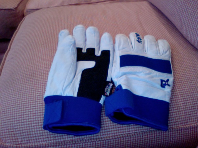 Switch Gloves