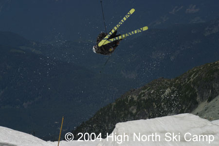 switch misty 5 frogger