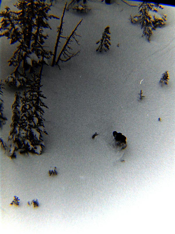 switch pow slash no poles