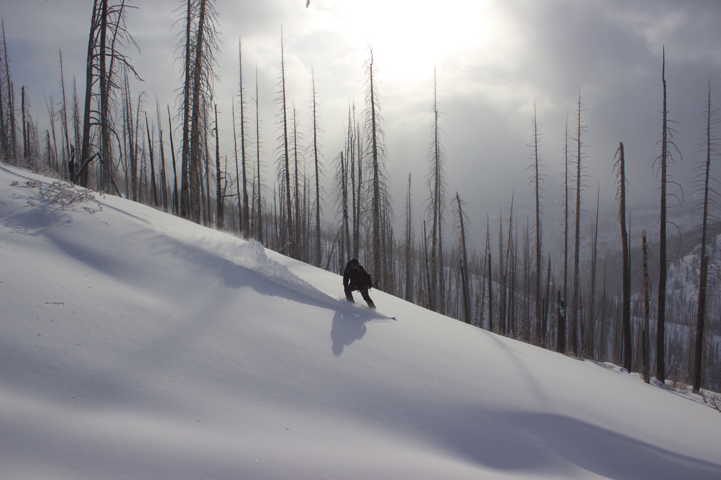 Switch Pow