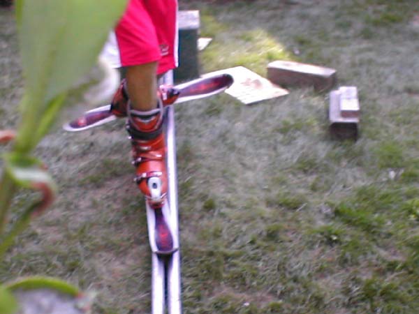 T grind with foliage