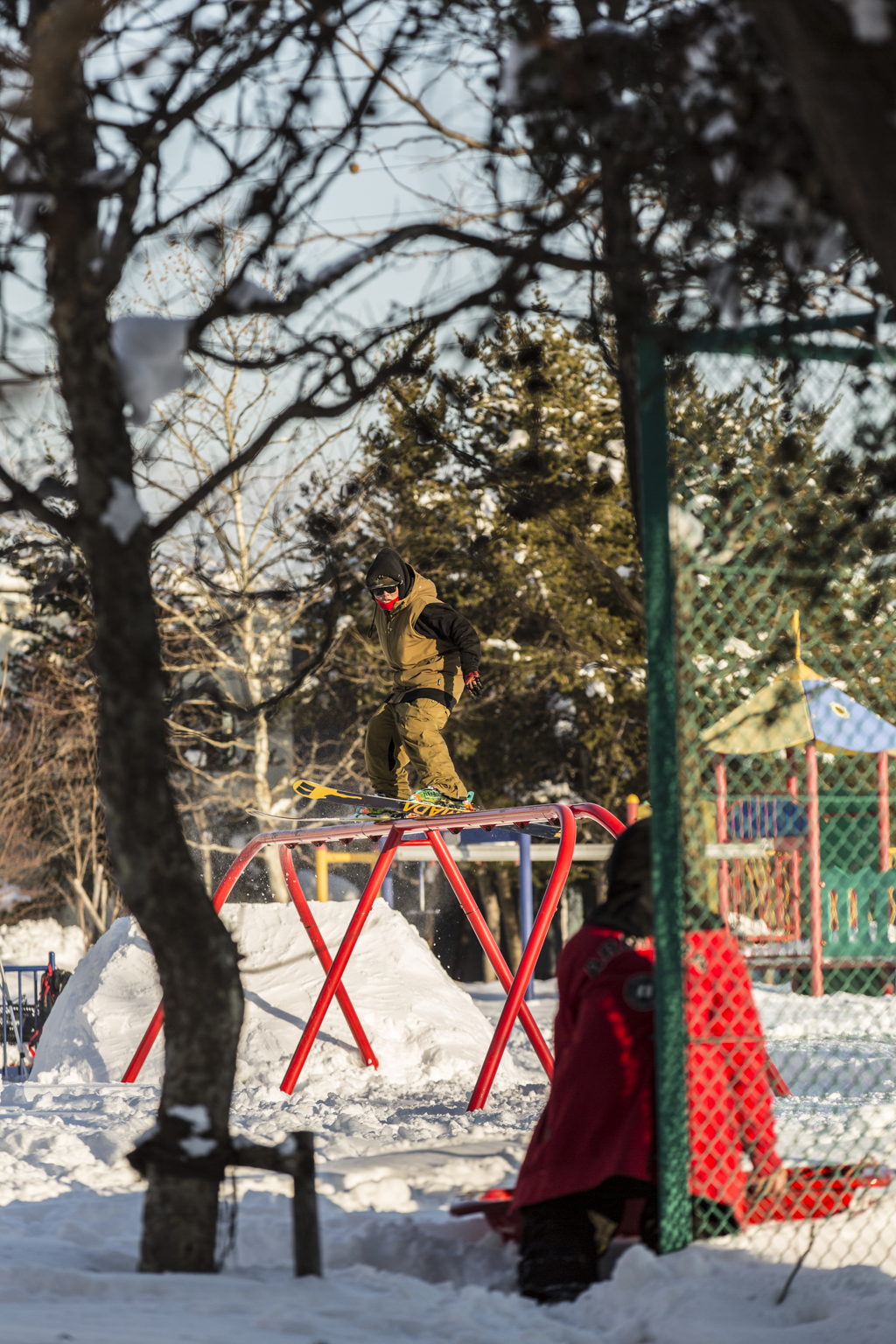 T-Photos?Bull? l~Urban~