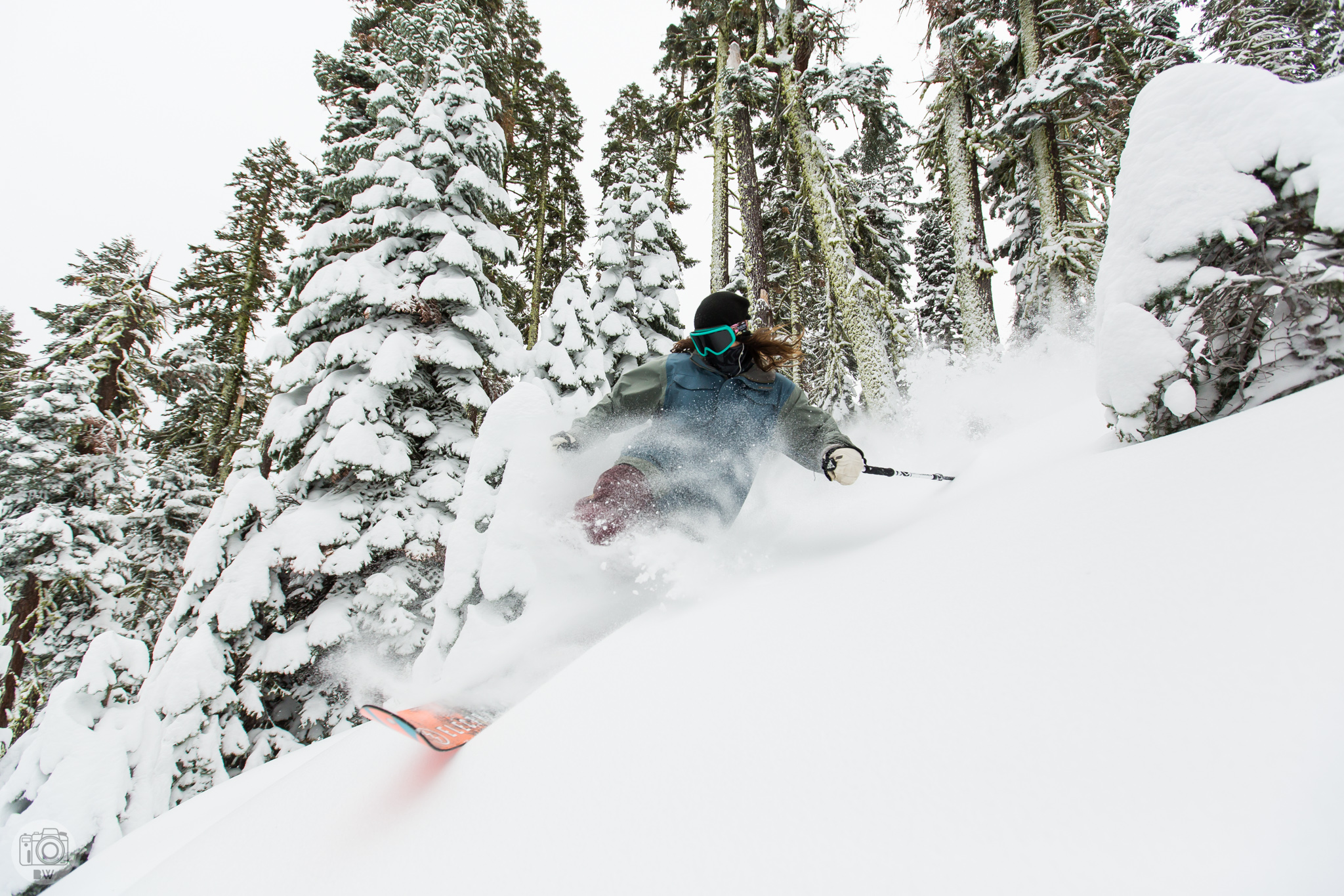 Tahoe is back! 