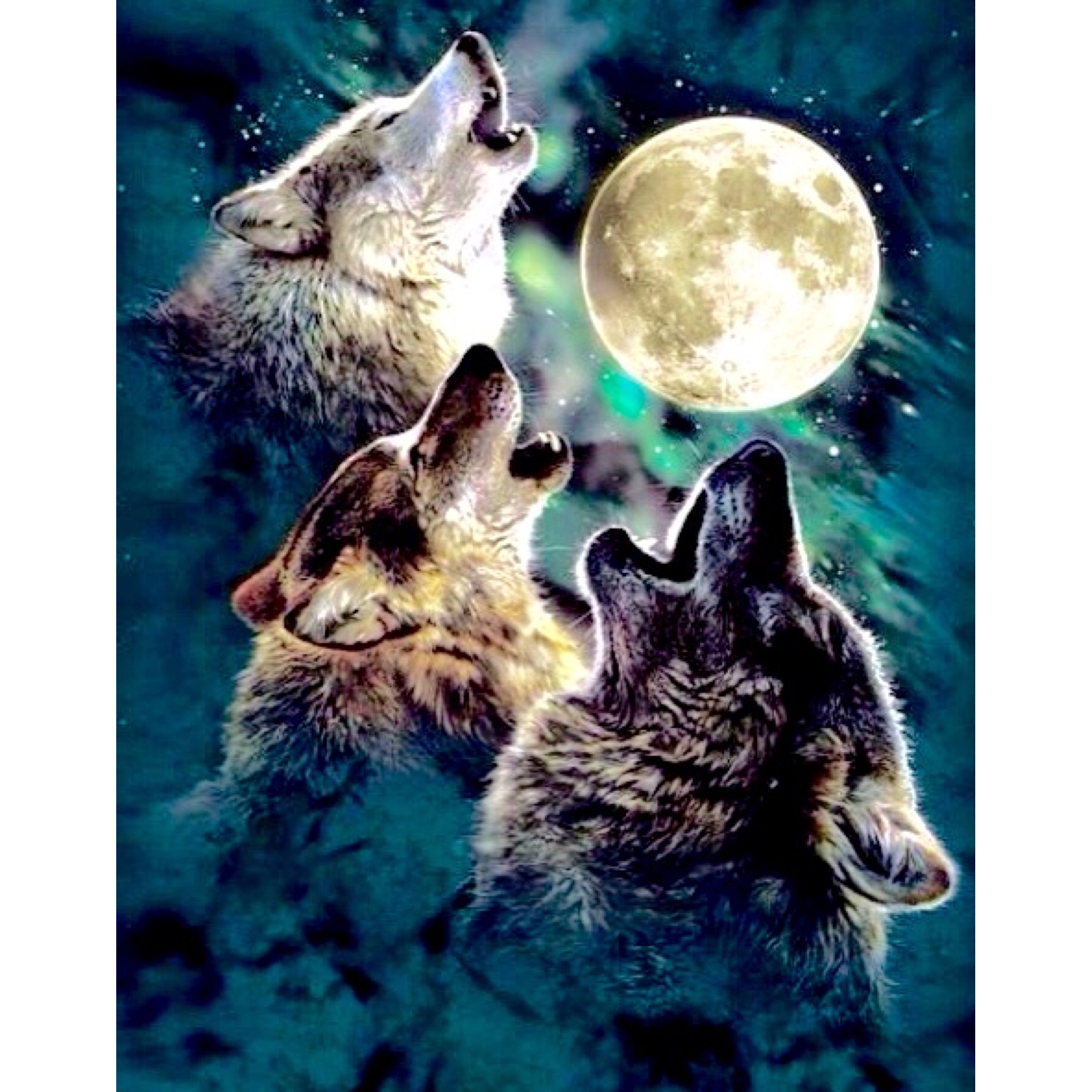 take a sec and respect