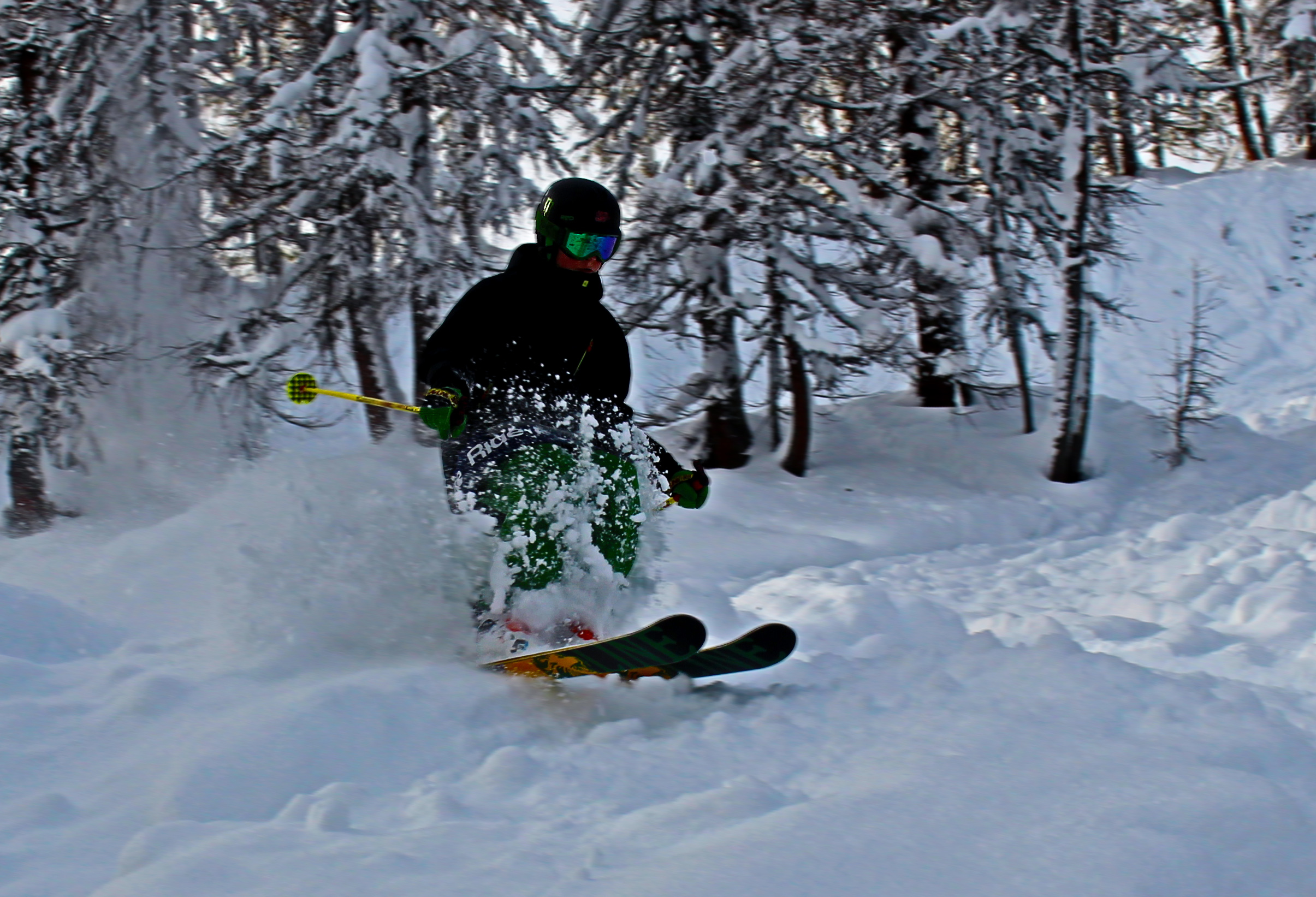 Taken after a pow dump in Austria