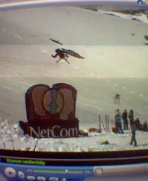 taken with my phone.a cork7 this summer