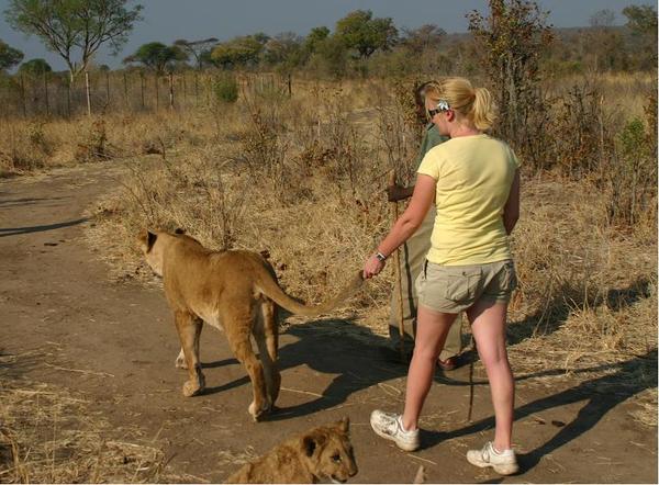 Taking kitty for a walk