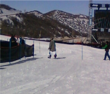 Tanner hall- x games.