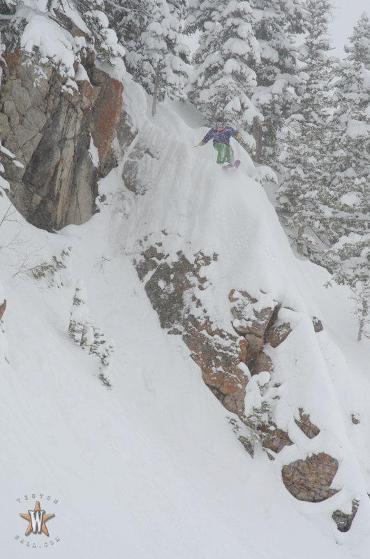 Tansnowman and Panda Poles