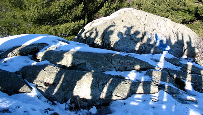 Team Shed (in silhouette)