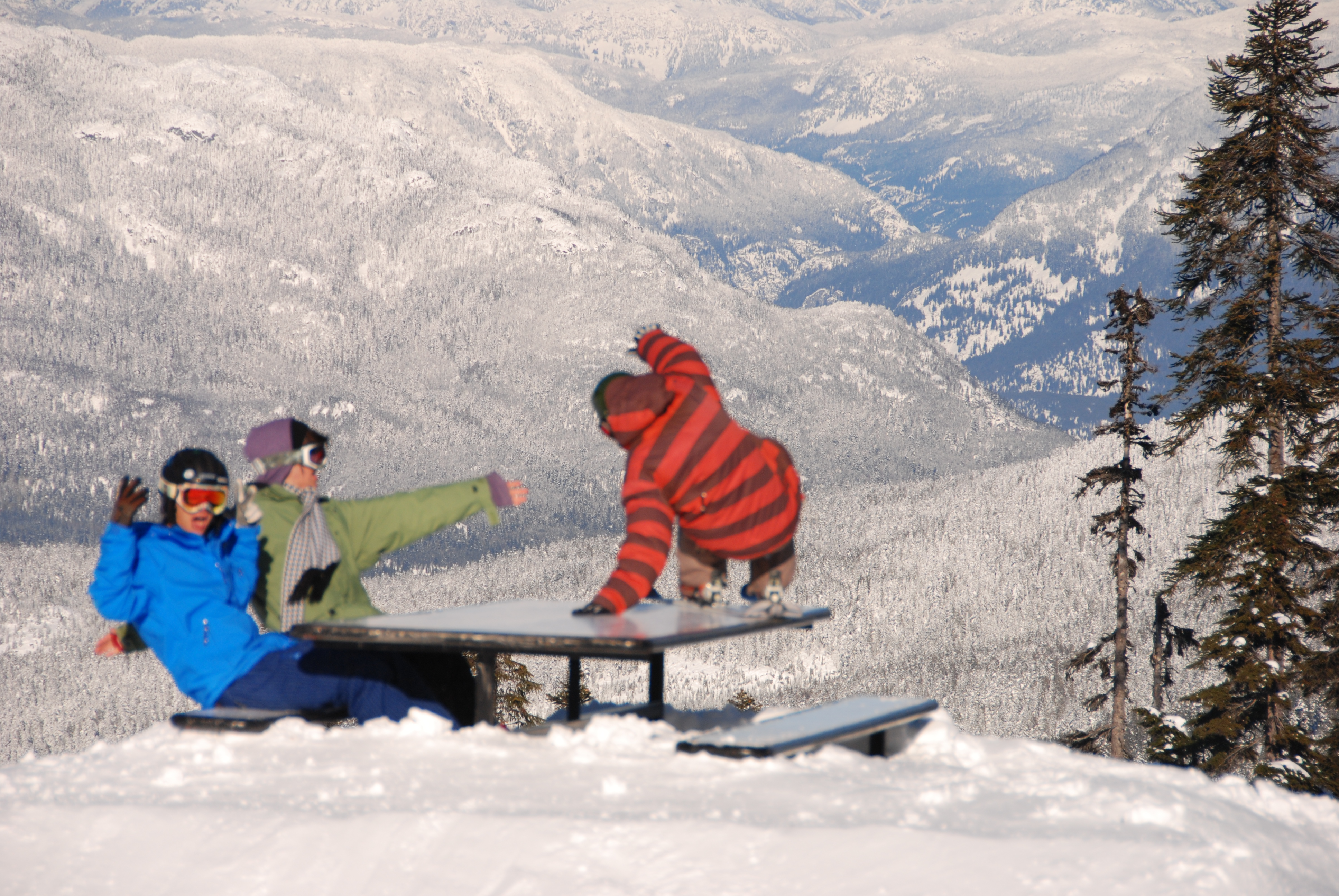 TeamAWESOME Picnic 2