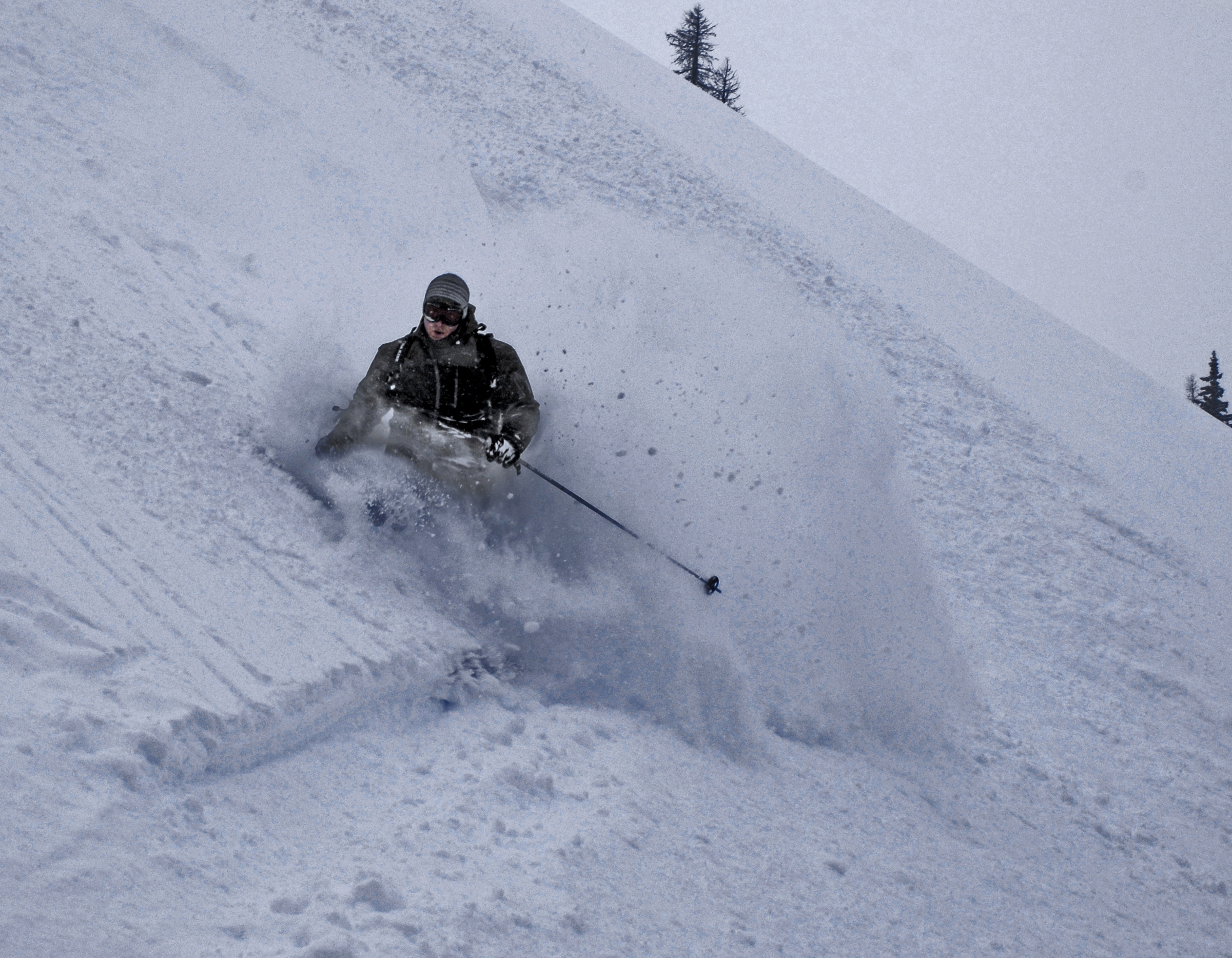 Ted cutting up "fuzzy"