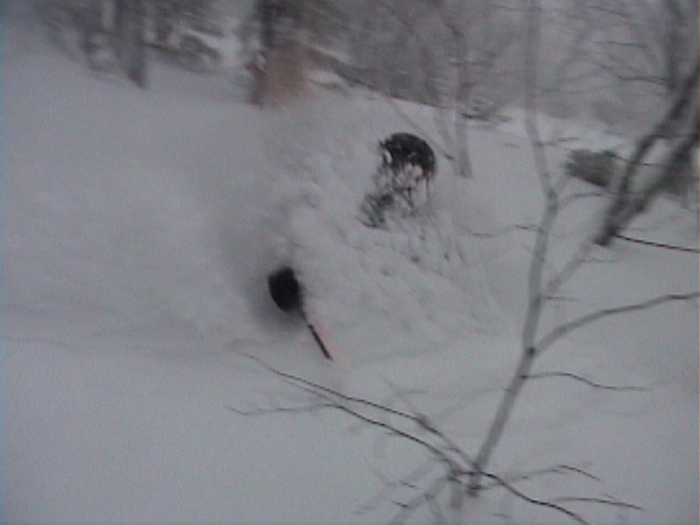 Terin it up jay peak (dip)