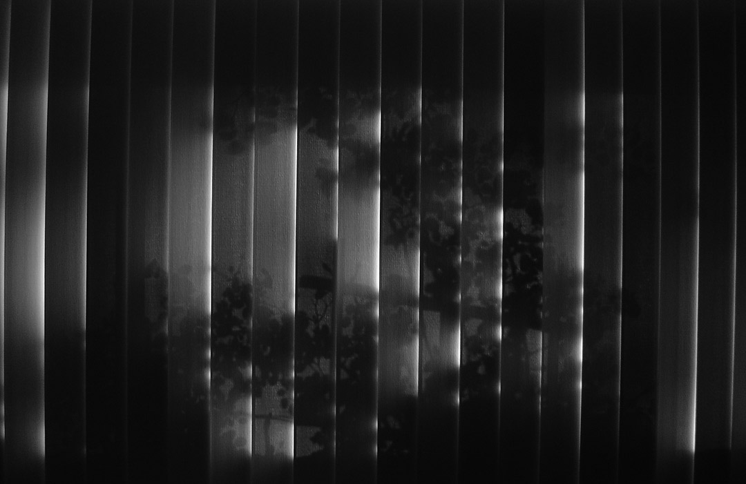 Terra Behind the Shade