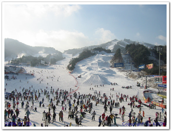 Terrain park in Korea