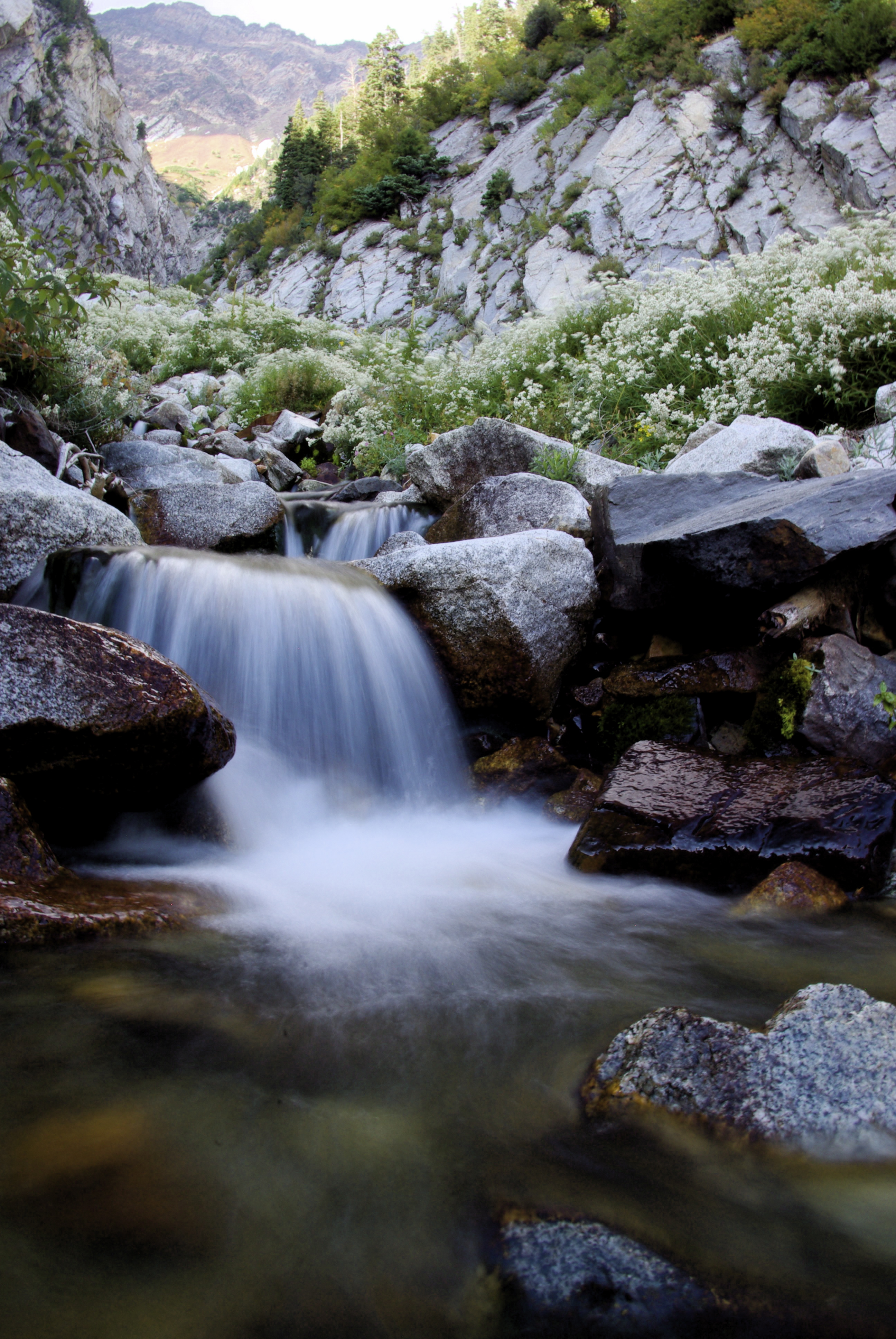 Teting out my new camera