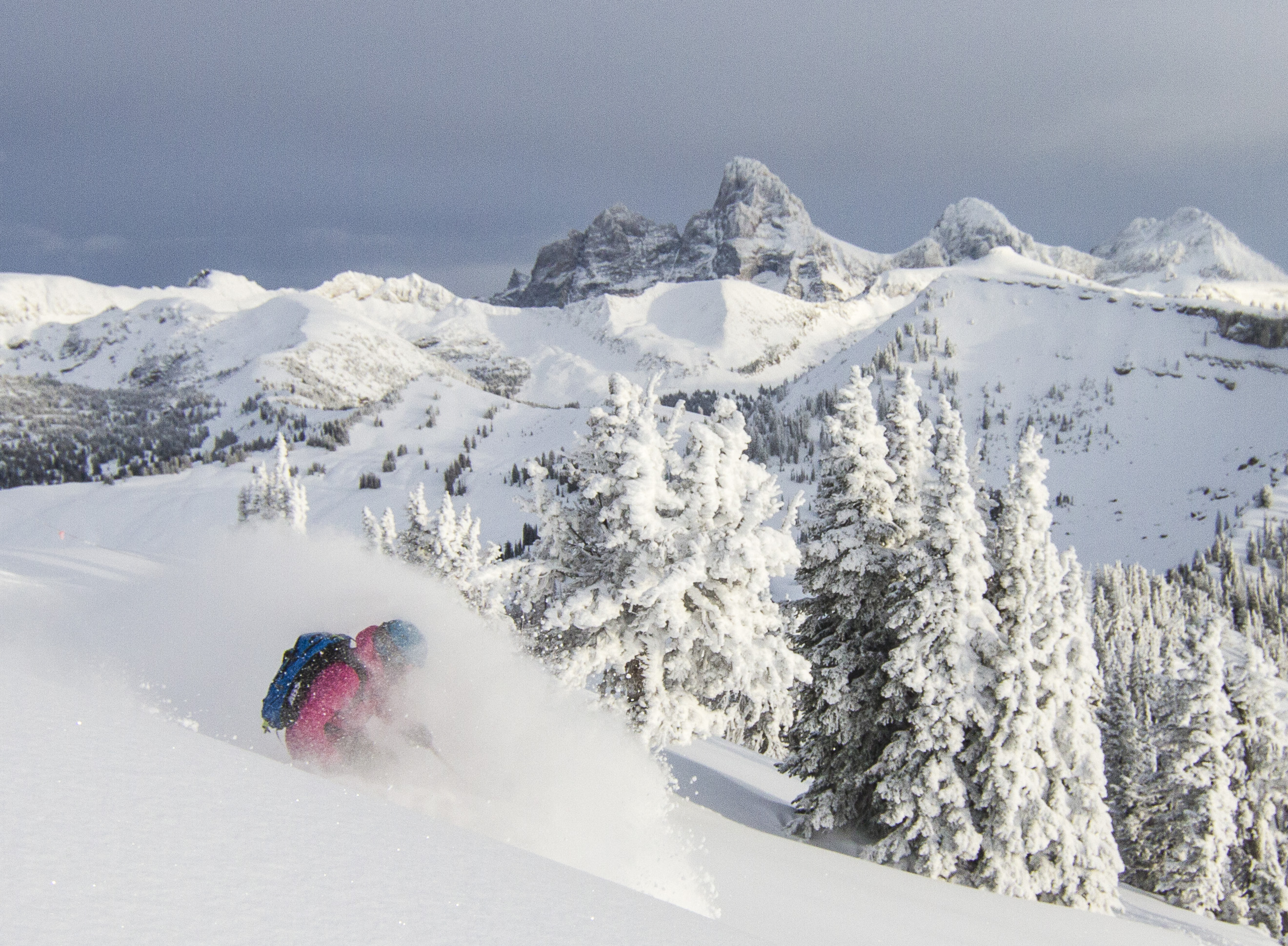 Teton Pitted