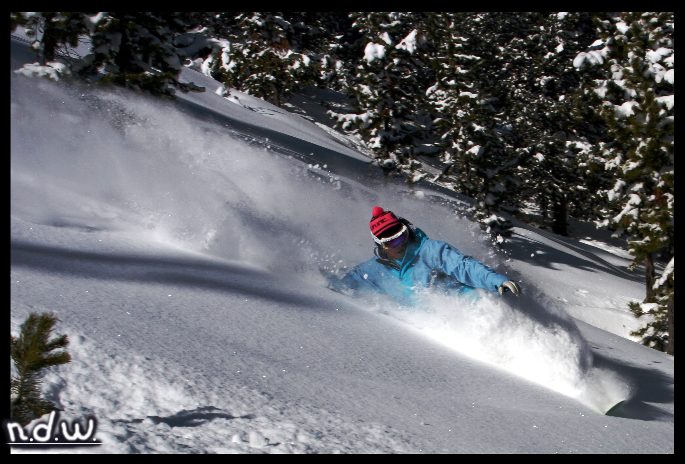 Thanksgiving champaingya