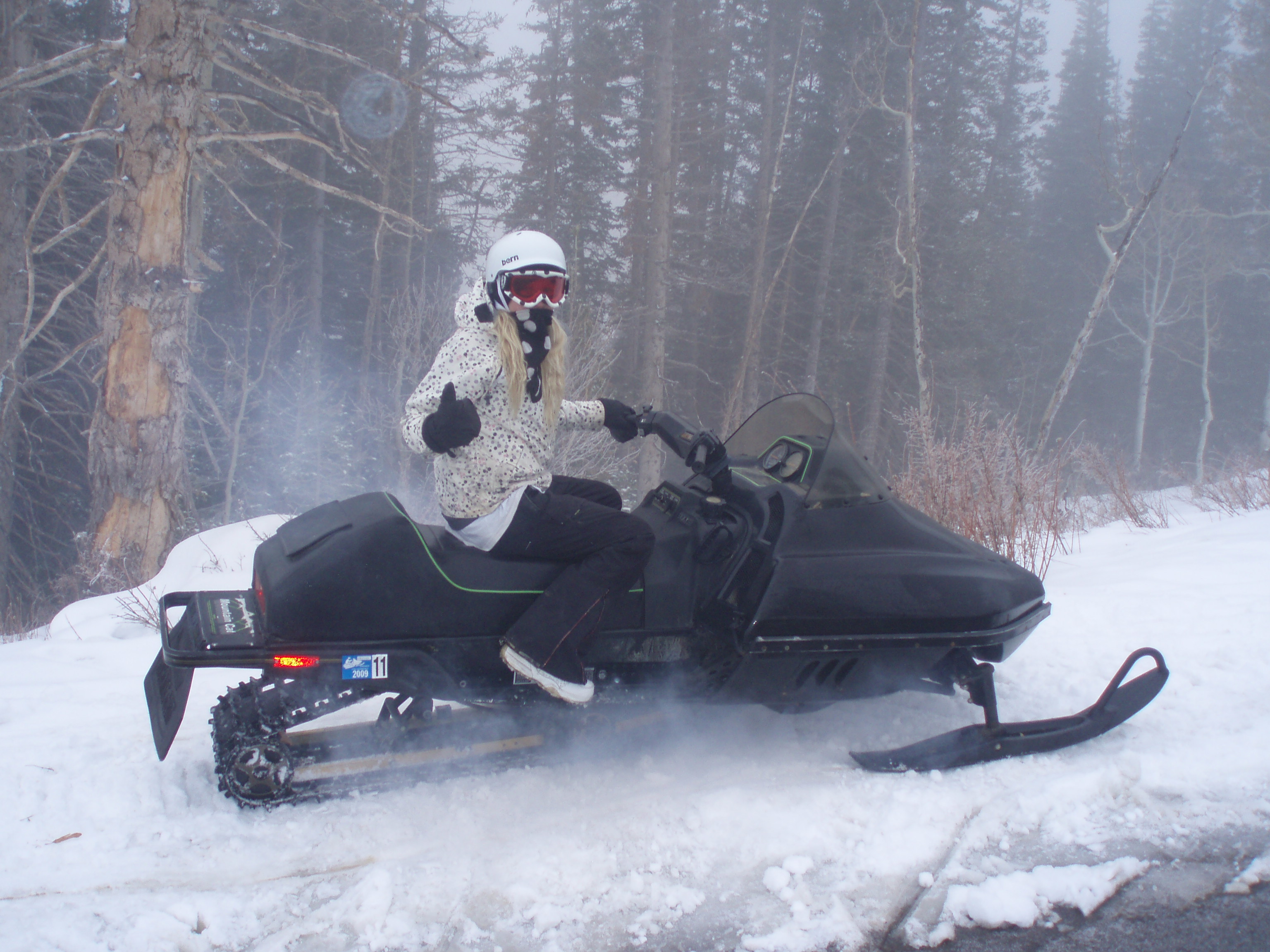 The ancient artic cat