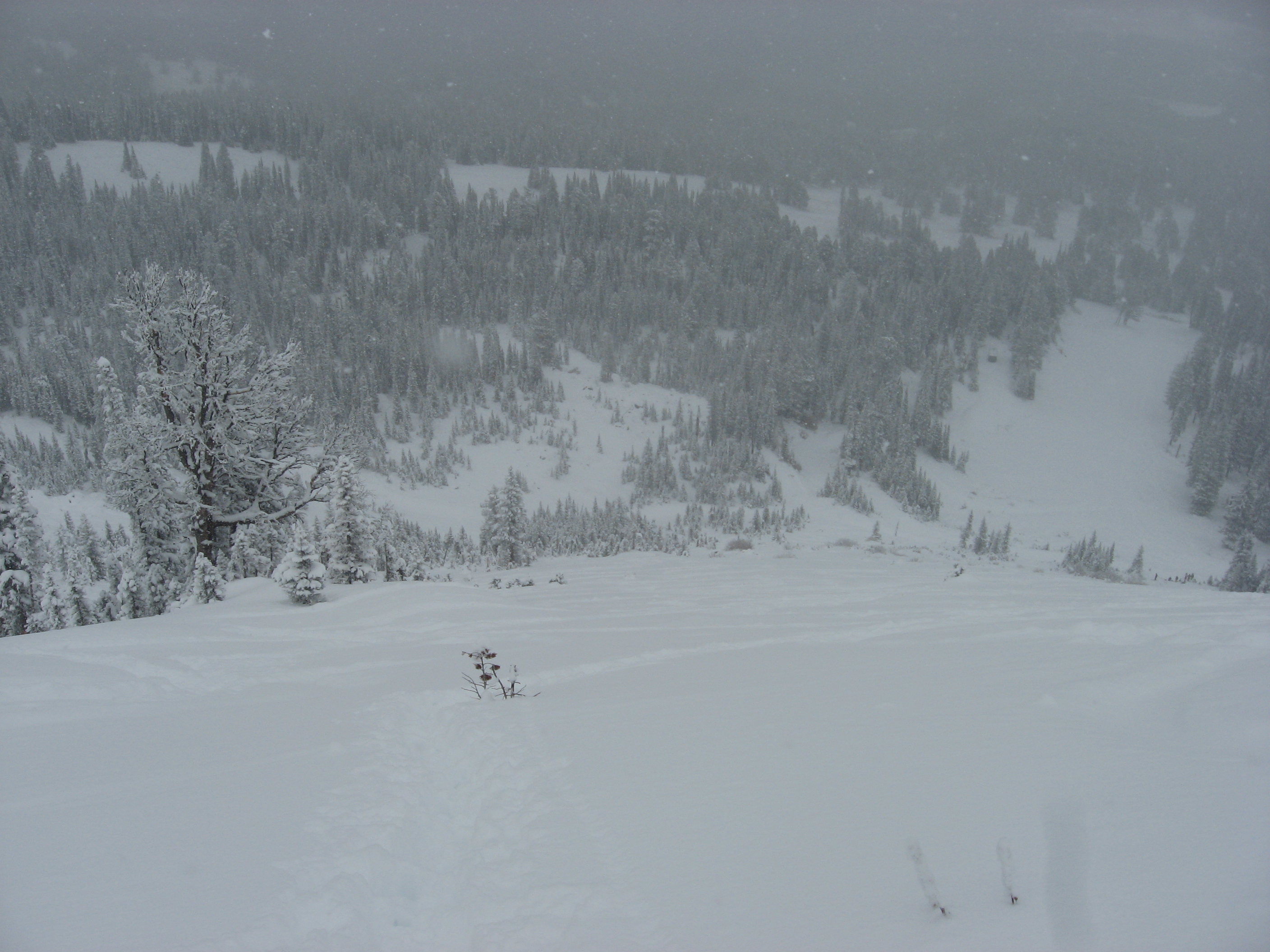 The Apron at Bridger Bowl 10/10/09
