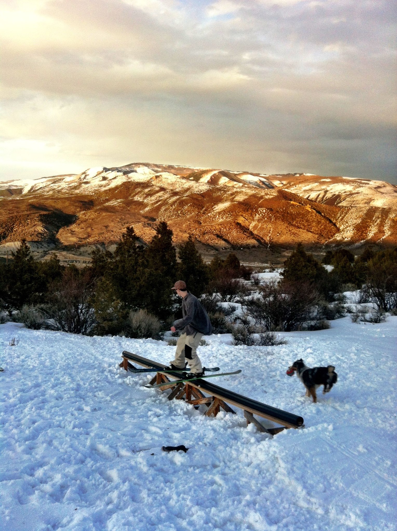 The Backyard Invitational