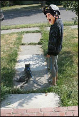 the battle of chad's