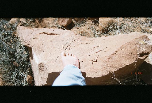 The BIG Rock that fell on my foot