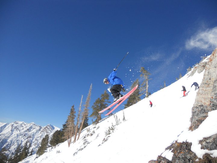 The bird is the word