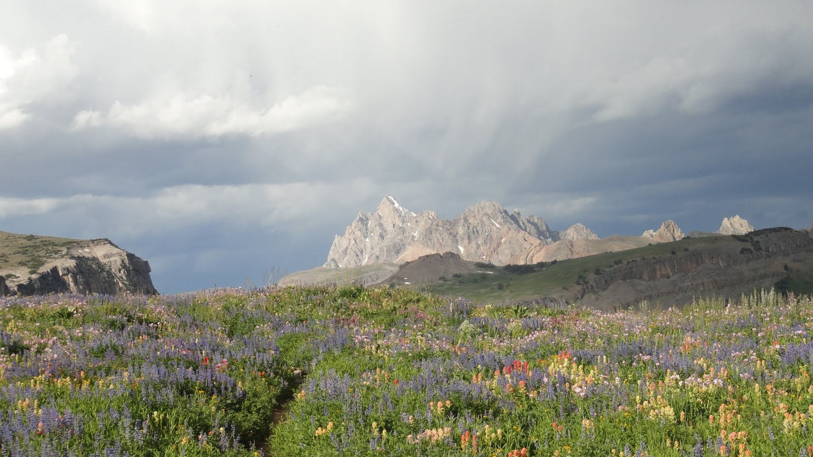 The cathedral from the shelf