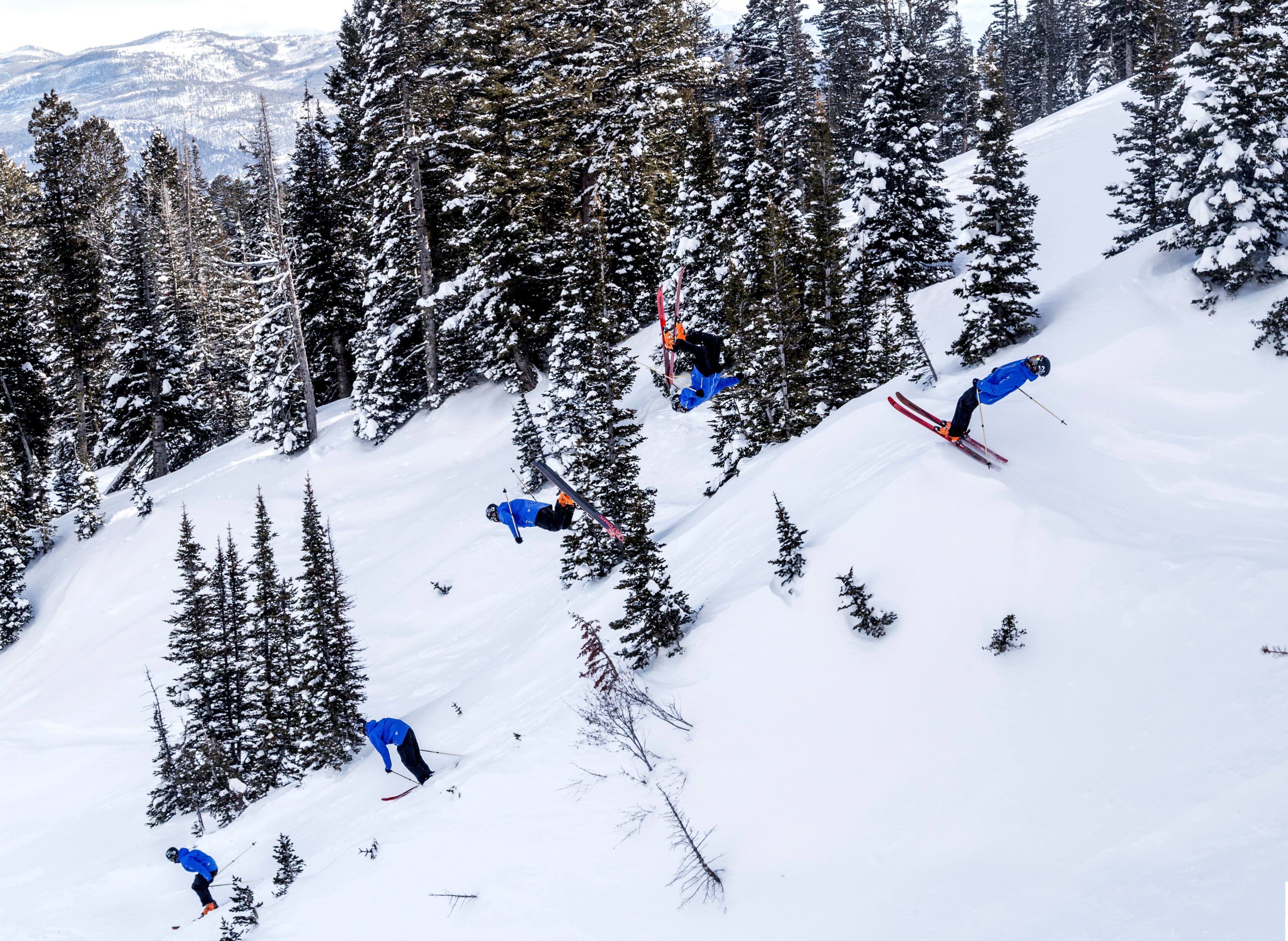 The dodo learns to fly