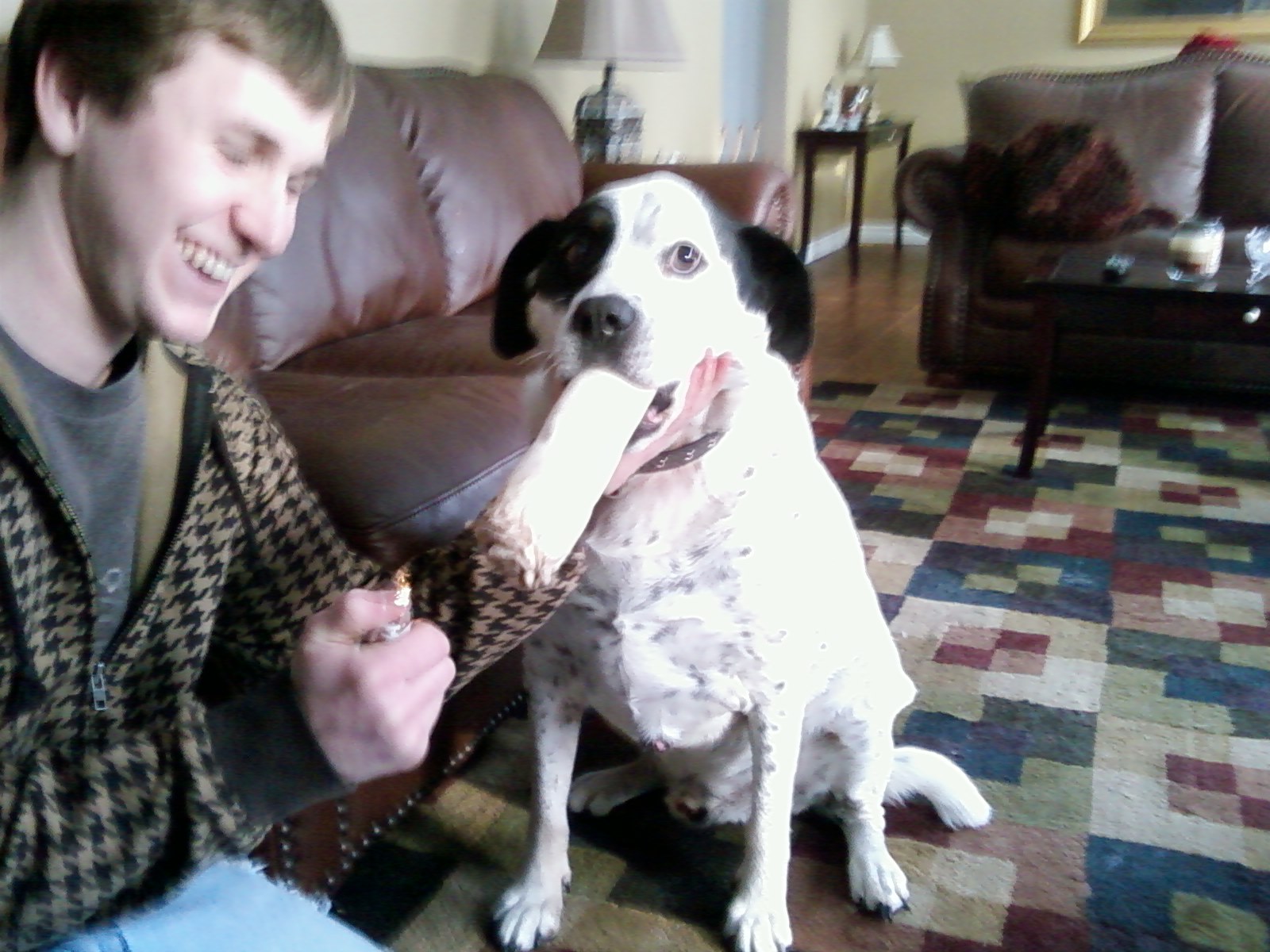 The dog has a bigger blunt