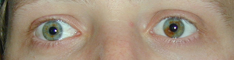 The eyes....no bullshit tricks