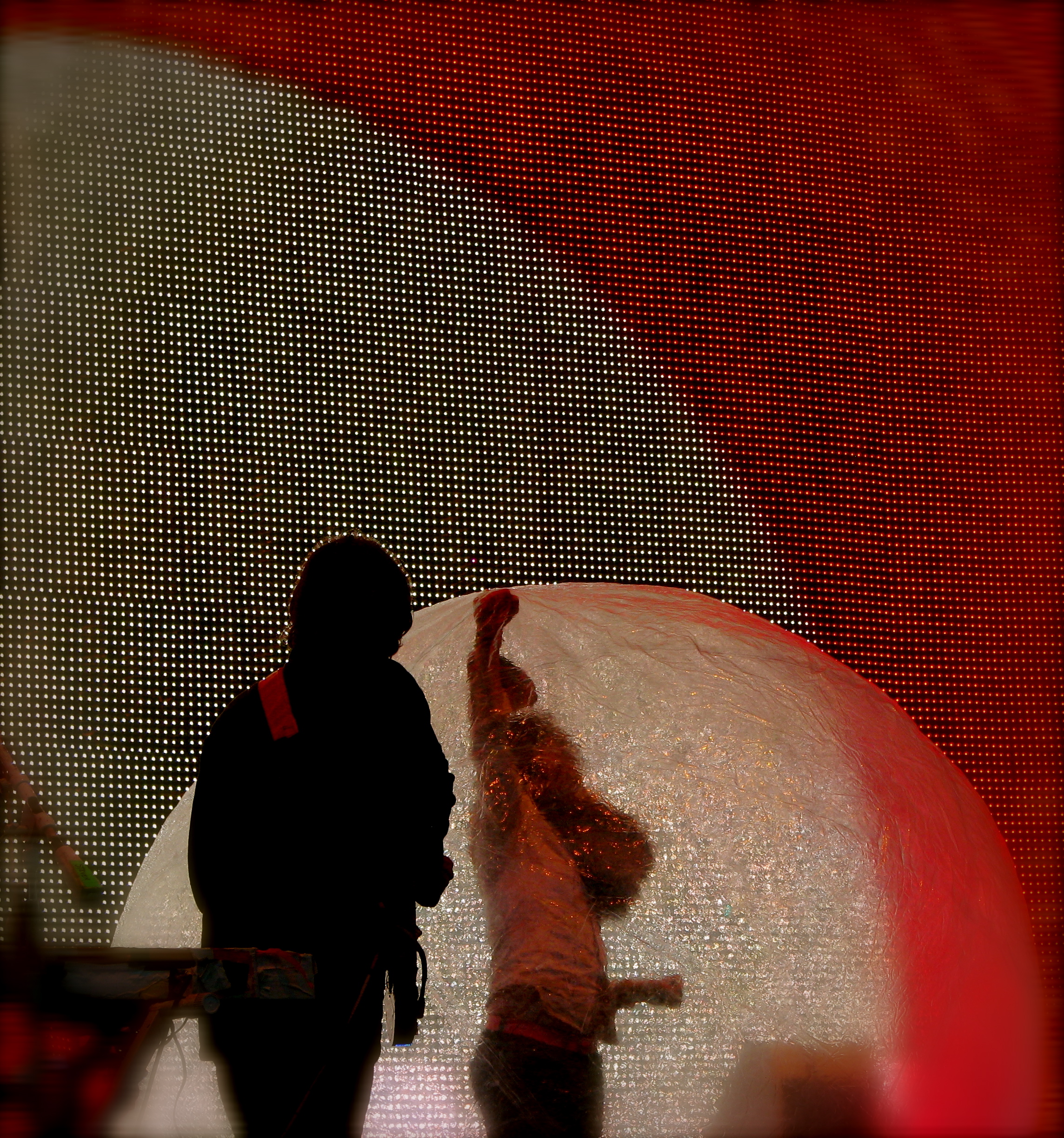 The Flaming Lips