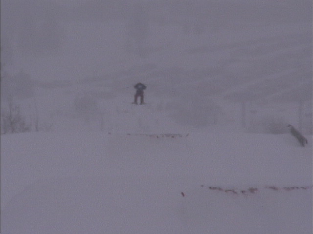 The infamous Frogger