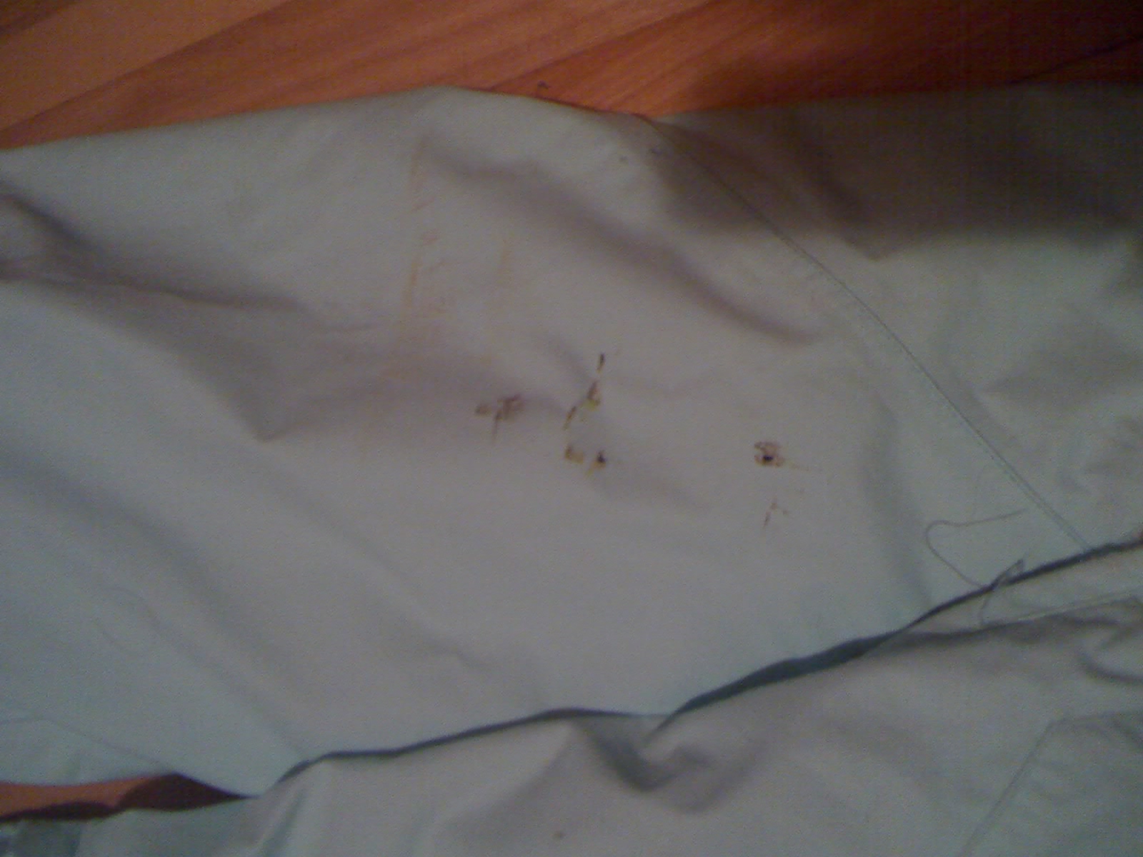 The little scratches at the bottom of the pants