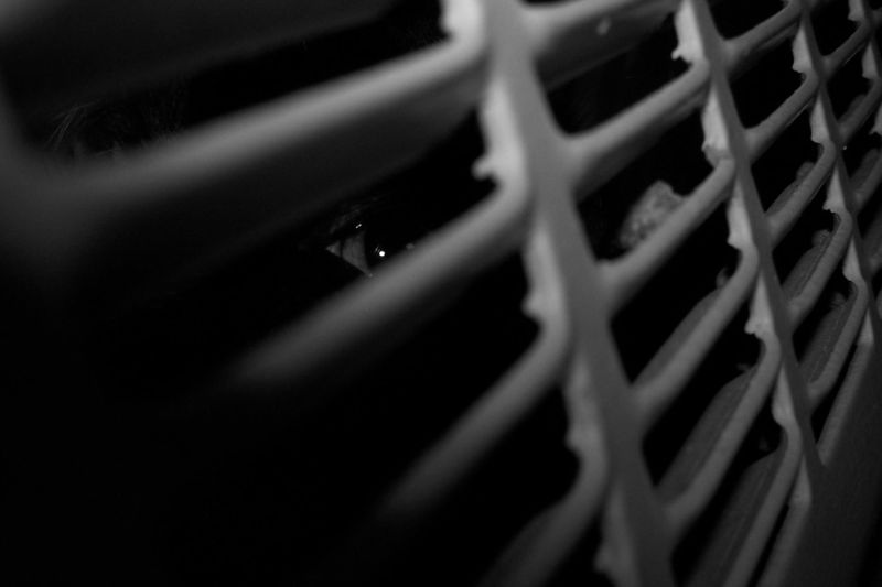 The Monster In The Heater