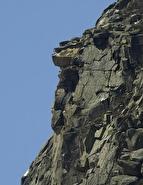 the old man is gonnne