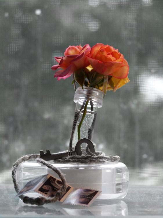 The Pain of Distance take 2