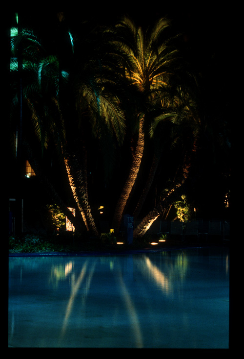 The Pool At Night