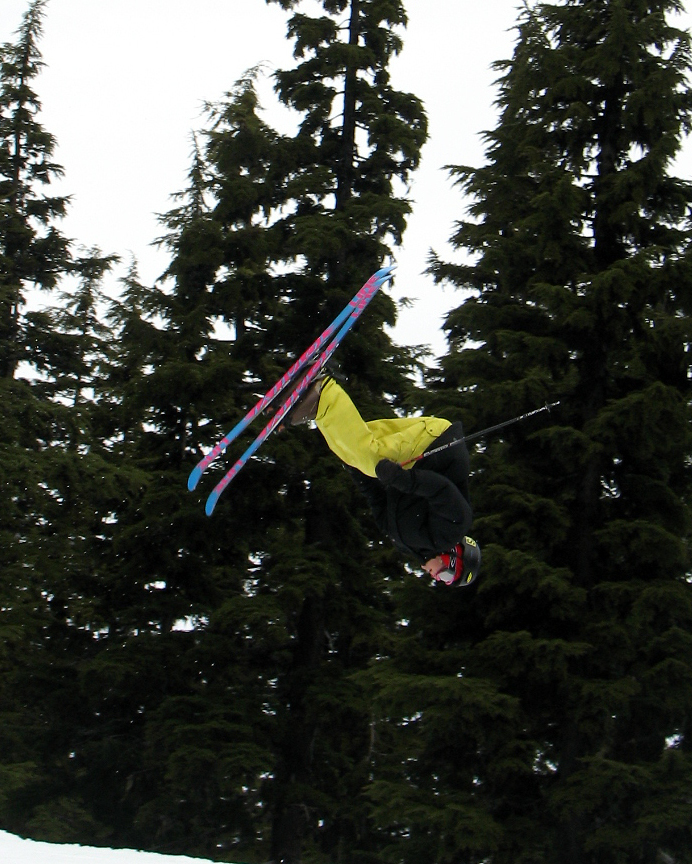 the quest for the holy grail