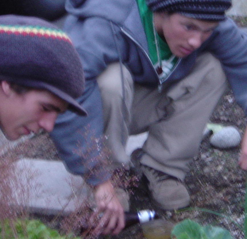 The slugs are SO wAsTEd!!!