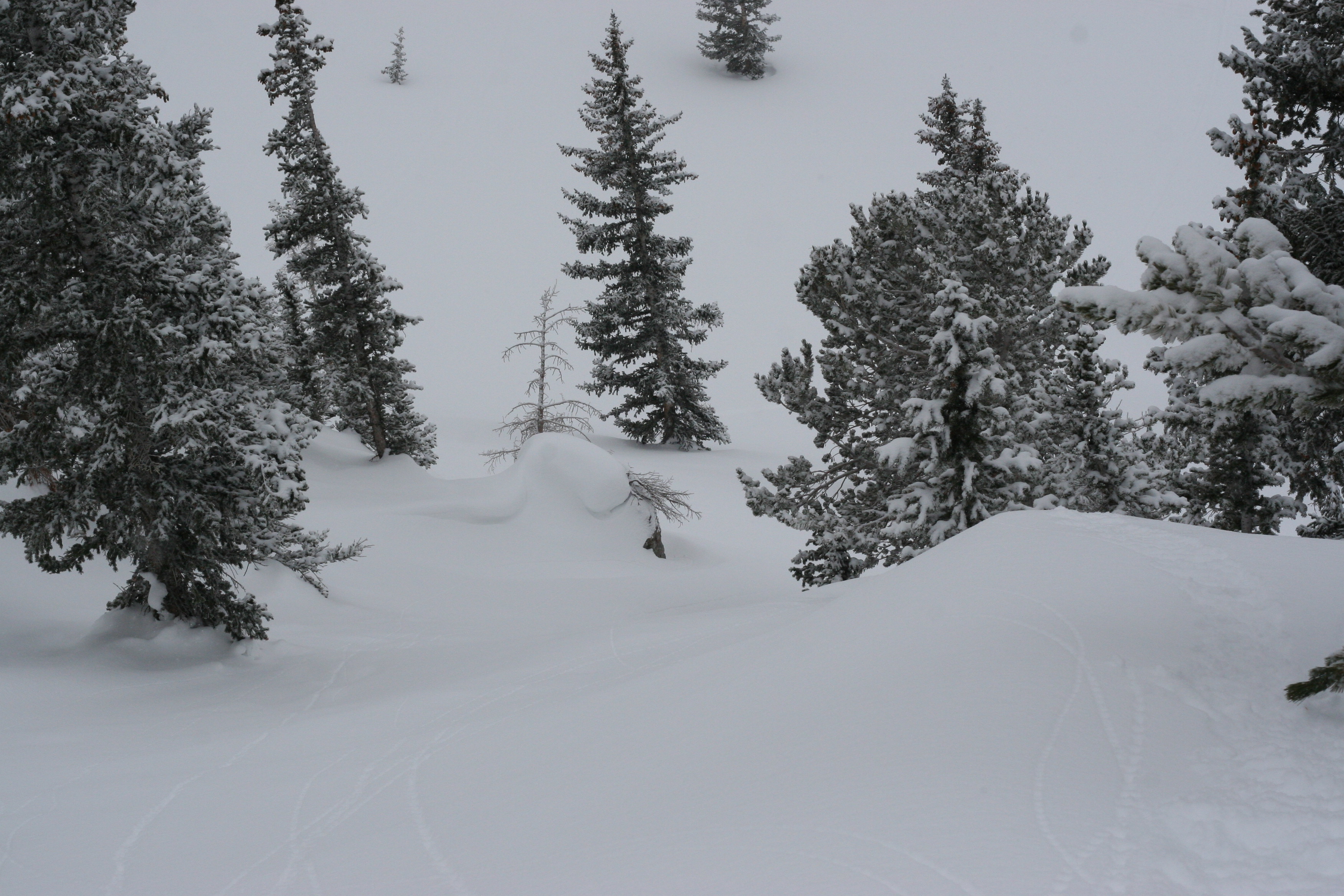 The Terrain...oh yes